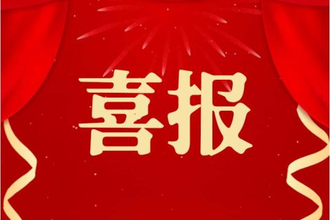 长先新材荣获国家专精特新“小巨人”殊荣